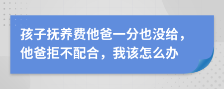 孩子抚养费他爸一分也没给，他爸拒不配合，我该怎么办