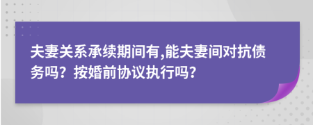 夫妻关系承续期间有,能夫妻间对抗债务吗？按婚前协议执行吗？