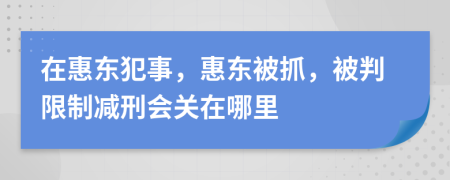 在惠东犯事，惠东被抓，被判限制减刑会关在哪里