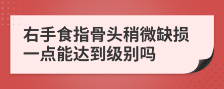 右手食指骨头稍微缺损一点能达到级别吗