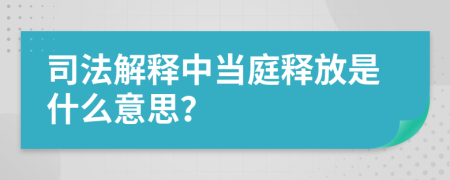 司法解释中当庭释放是什么意思？