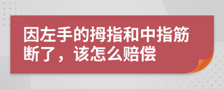 因左手的拇指和中指筋断了，该怎么赔偿