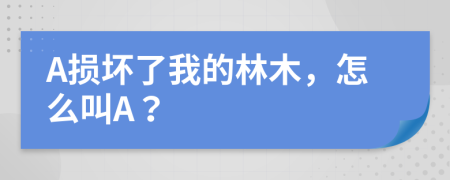 A损坏了我的林木，怎么叫A？