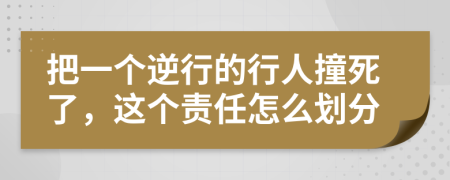 把一个逆行的行人撞死了，这个责任怎么划分