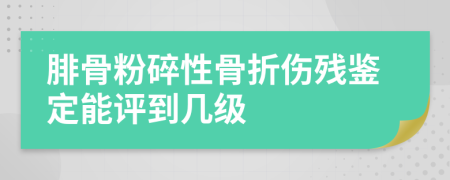 腓骨粉碎性骨折伤残鉴定能评到几级