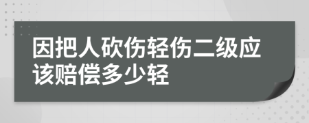 因把人砍伤轻伤二级应该赔偿多少轻