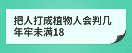 把人打成植物人会判几年牢未满18