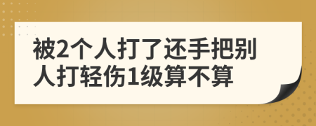 被2个人打了还手把别人打轻伤1级算不算