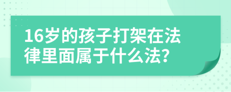 16岁的孩子打架在法律里面属于什么法？