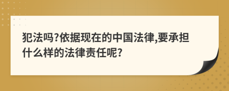 犯法吗?依据现在的中国法律,要承担什么样的法律责任呢?