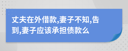 丈夫在外借款,妻子不知,告到,妻子应该承担债款么