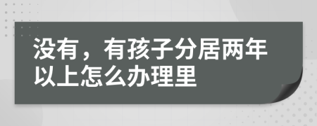 没有，有孩子分居两年以上怎么办理里