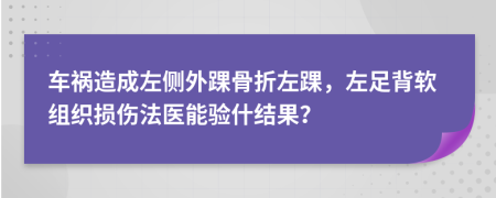 车祸造成左侧外踝骨折左踝，左足背软组织损伤法医能验什结果？