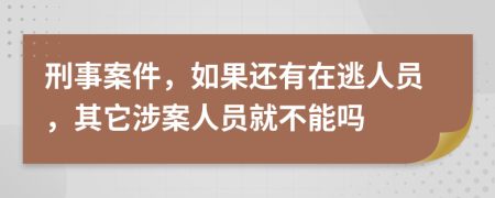 刑事案件，如果还有在逃人员，其它涉案人员就不能吗