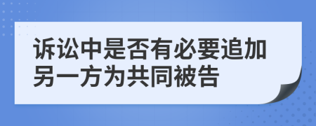 诉讼中是否有必要追加另一方为共同被告