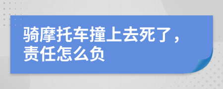 骑摩托车撞上去死了，责任怎么负