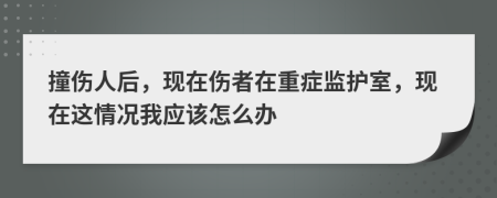 撞伤人后，现在伤者在重症监护室，现在这情况我应该怎么办