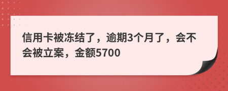 信用卡被冻结了，逾期3个月了，会不会被立案，金额5700