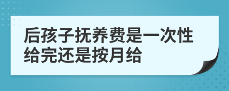 后孩子抚养费是一次性给完还是按月给