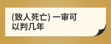 (致人死亡) 一审可以判几年