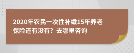 2020年农民一次性补缴15年养老保险还有没有？去哪里咨询