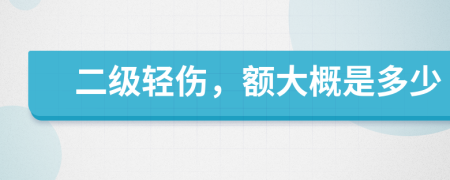 二级轻伤，额大概是多少