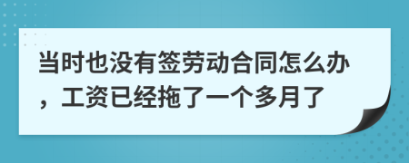 当时也没有签劳动合同怎么办，工资已经拖了一个多月了