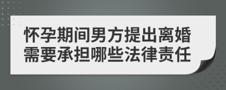 怀孕期间男方提出离婚需要承担哪些法律责任