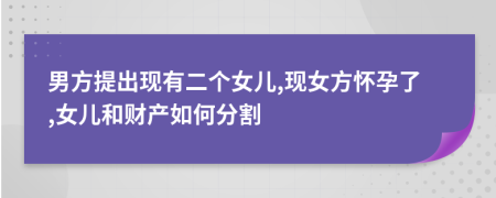 男方提出现有二个女儿,现女方怀孕了,女儿和财产如何分割