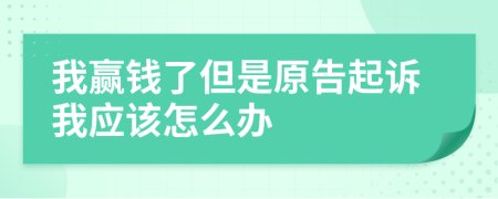 我赢钱了但是原告起诉我应该怎么办