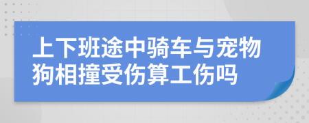 上下班途中骑车与宠物狗相撞受伤算工伤吗