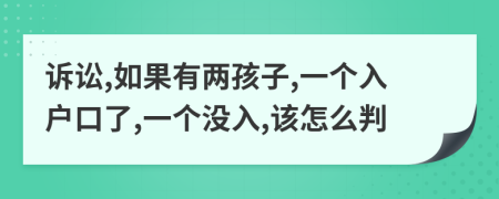 诉讼,如果有两孩子,一个入户口了,一个没入,该怎么判