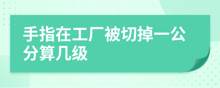 手指在工厂被切掉一公分算几级