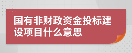 国有非财政资金投标建设项目什么意思