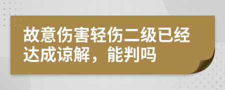 故意伤害轻伤二级已经达成谅解，能判吗