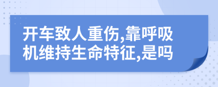 开车致人重伤,靠呼吸机维持生命特征,是吗