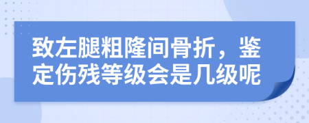 致左腿粗隆间骨折，鉴定伤残等级会是几级呢