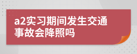 a2实习期间发生交通事故会降照吗