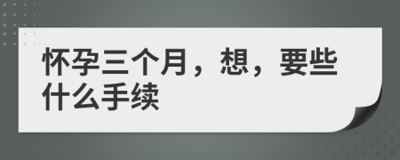 怀孕三个月，想，要些什么手续