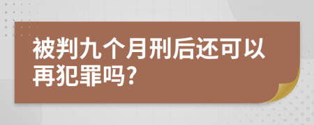 被判九个月刑后还可以再犯罪吗?