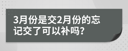 3月份是交2月份的忘记交了可以补吗？
