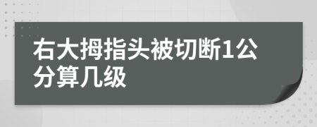 右大拇指头被切断1公分算几级