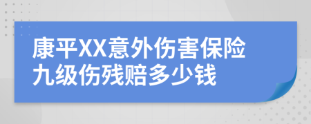 康平XX意外伤害保险九级伤残赔多少钱