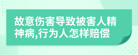 故意伤害导致被害人精神病,行为人怎样赔偿