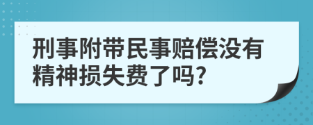 刑事附带民事赔偿没有精神损失费了吗?