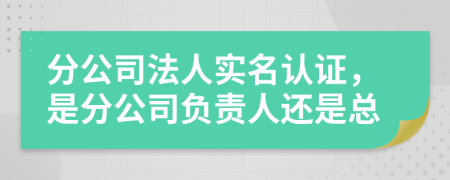 分公司法人实名认证，是分公司负责人还是总