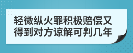 轻微纵火罪积极赔偿又得到对方谅解可判几年