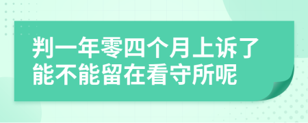 判一年零四个月上诉了能不能留在看守所呢