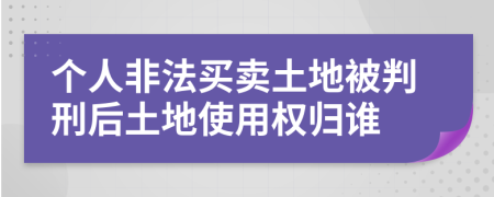 个人非法买卖土地被判刑后土地使用权归谁
