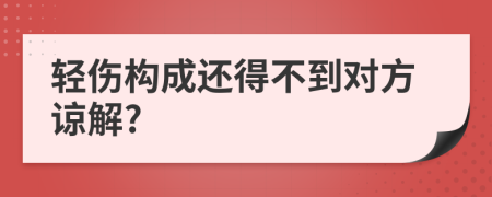 轻伤构成还得不到对方谅解?